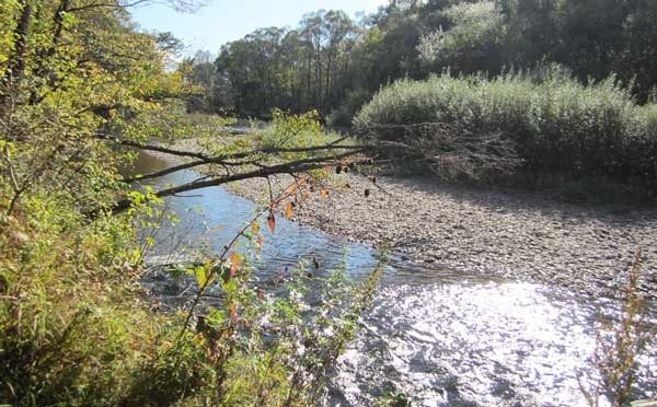 Быстрая река