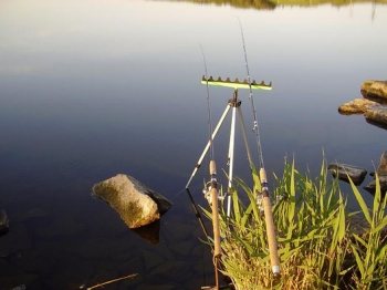 Донная ловля