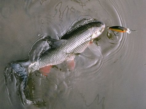 Фото: Евгений Кузнецов.