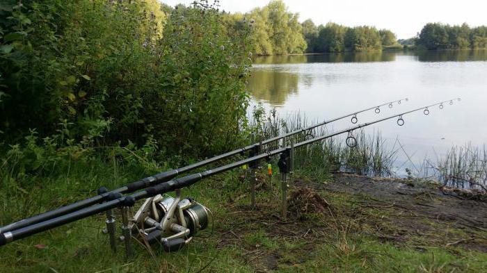 генезис рыбалка