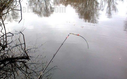 Гибкий боковой кивок.