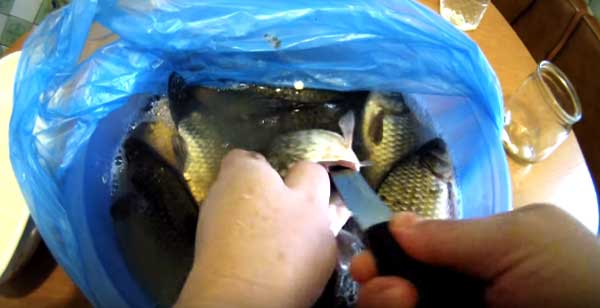 Извлечение икры карася