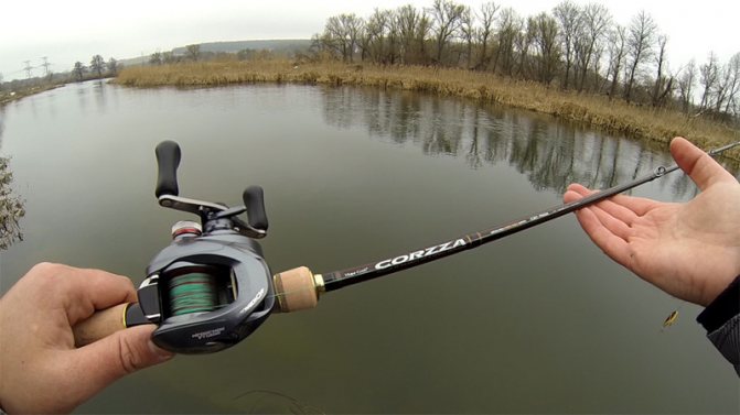 Кастинговые удилища: топ, рейтиинг - лучшее кастинговое удилище