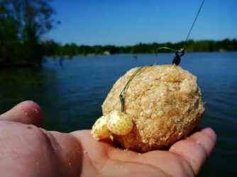 Ловля белого амура осенью