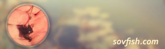 ловля на пиявку