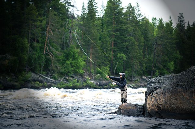 ловля рыбы на поденку