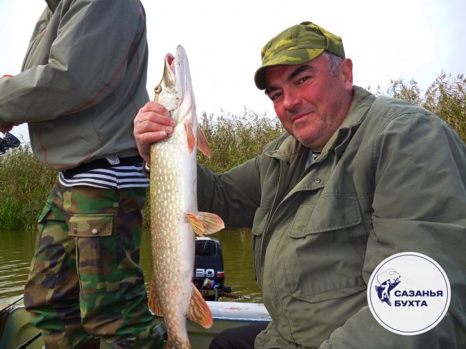 Ловля щуки в осенний период