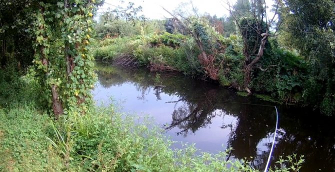 Микроречка