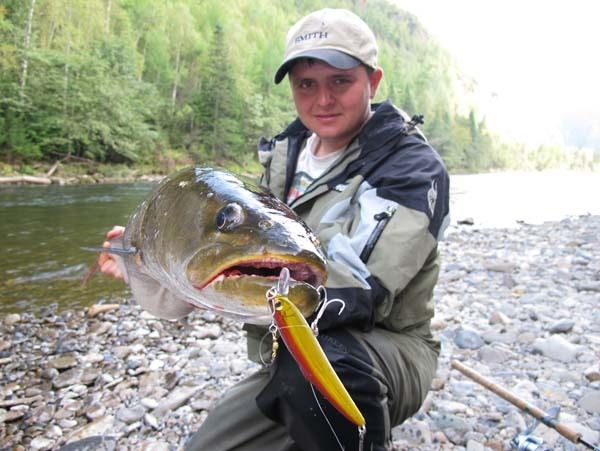 на крупный воблер