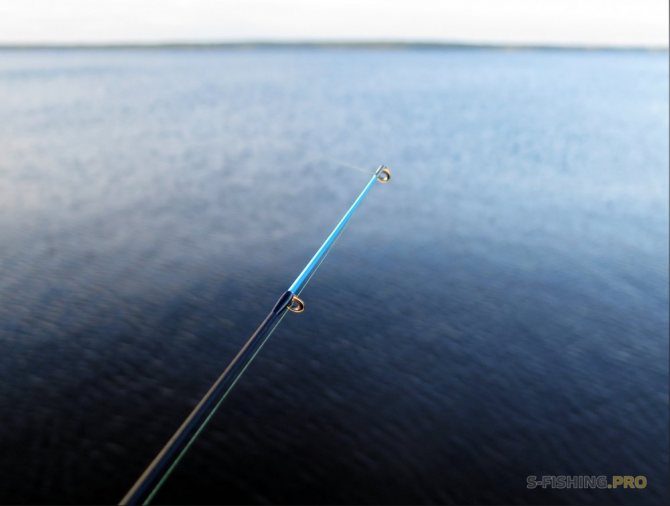 Отчеты с водоемов: ОСЕННИЙ ФИДЕР НА ФИНСКОМ ЗАЛИВЕ
