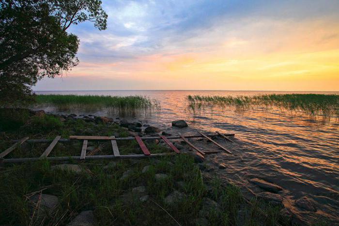 озеро воже фото