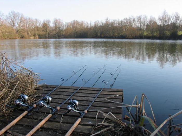 платная рыбалка генезис