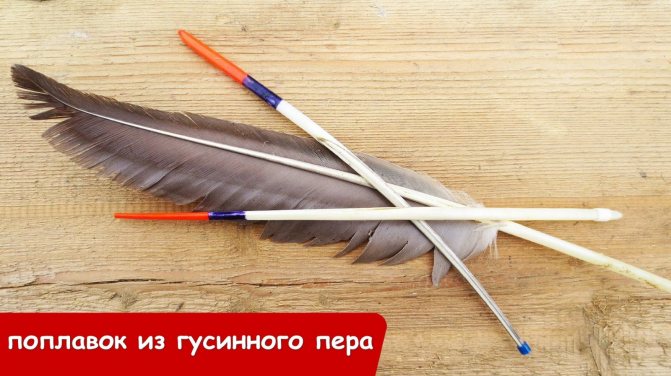 Поплавок из гусиного пера