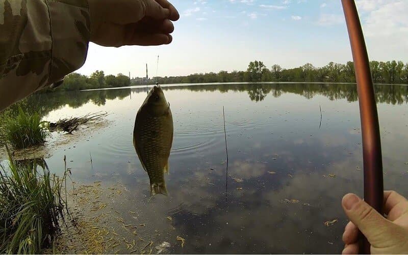 рыбалка на карася в октябре