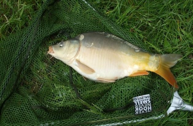 Рыбалка в Балабаново Калужской области