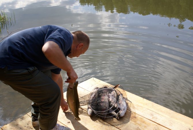 Рыбалка в калужской области платная