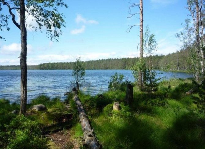 'Рыбалка в Ленобласти. 8 самых