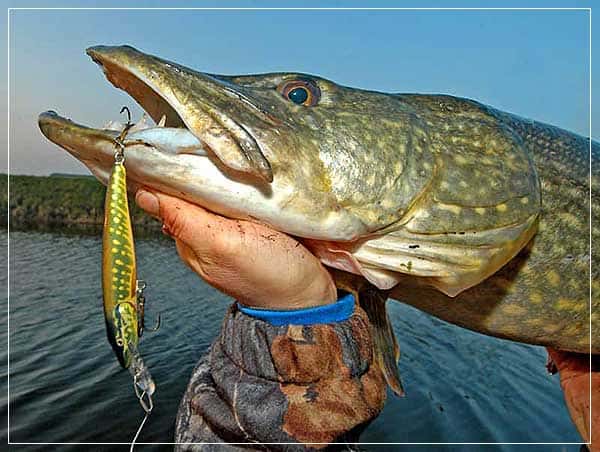 Рыбалка в сентябре