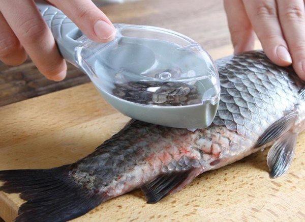 Сазан в духовке. Рецепты кусочками, целиком в фольге, рукаве с овощами, майонезом, сметаной