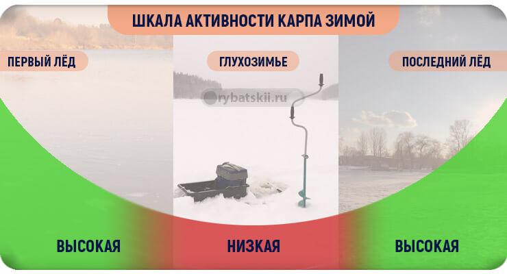 Шкала активности рыбы зимой