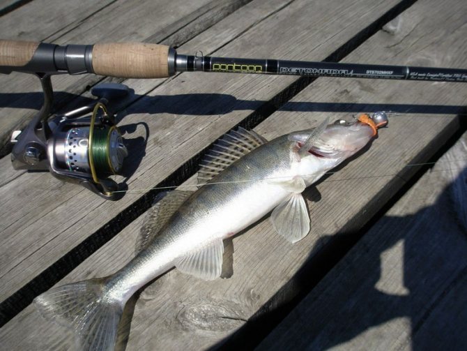Снасть должна быть надежной.