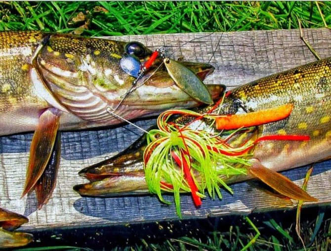 спиннер бейт