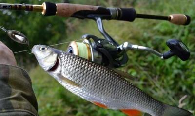 Тактика и техника ловли на спиннинг ультралайт. Плюсы и минусы подобной рыбалки