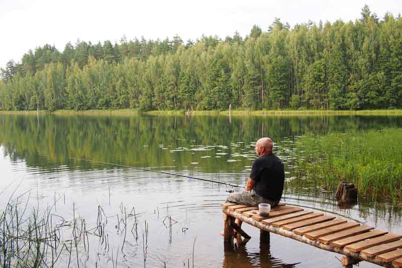 Тишина на рыбалке