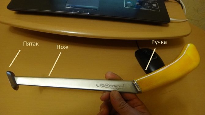 устройство квока