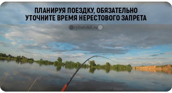 Уточняйте сроки запрета