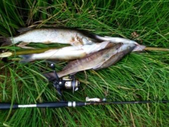 Вилюйское водохранилище: рыбалка и какая рыба водится