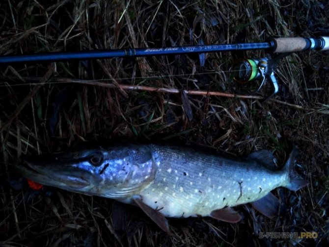 Вне времени. Обзор спиннинга Black Hole Classic S-240