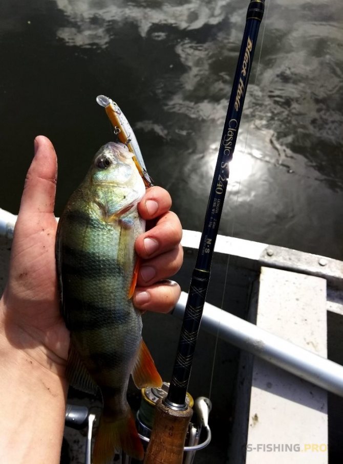 Вне времени. Обзор спиннинга Black Hole Classic S-240