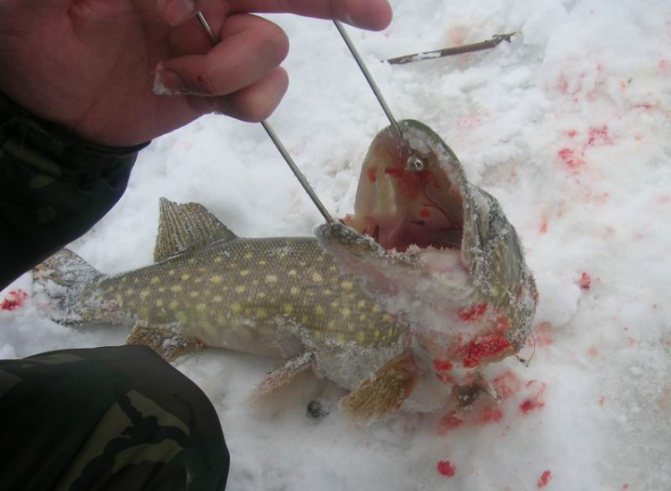 Заводской зевник можно доработать, но если он так и так будет подвергаться модернизации, легче сразу сделать устройство, отвечающее вашим требованиям