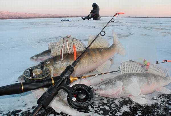 зимняя рыбалка