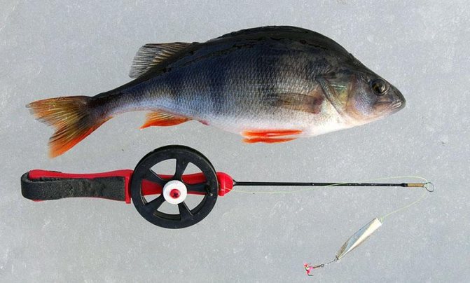 зимняя удочка для блеснения окуня своими руками фото 4